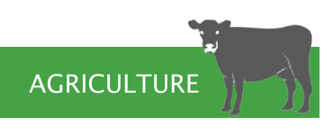 AGRICULTURE